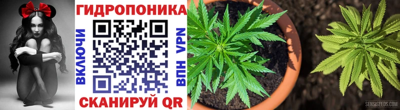 Где можно купить наркотики Чудово Вейп ТГК Амфетамин Меф Каннабис ГАШ КОКАИН СК