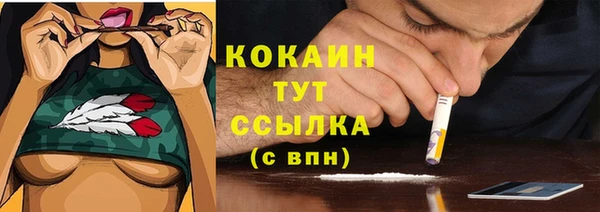 сатива Надым