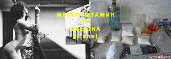 сатива Надым