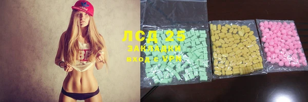 сатива Надым