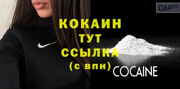 сатива Надым