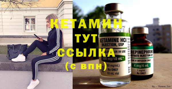 сатива Надым