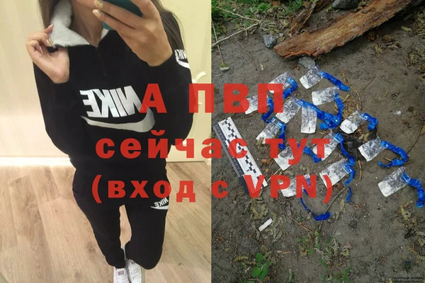 сатива Надым