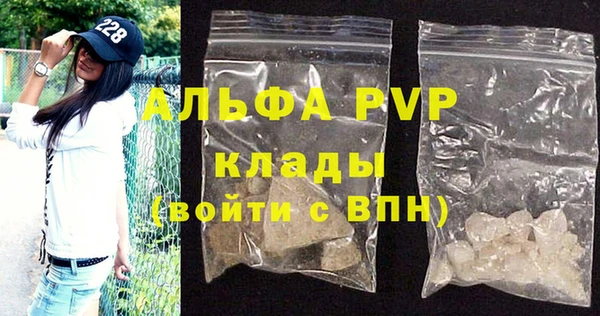 сатива Надым